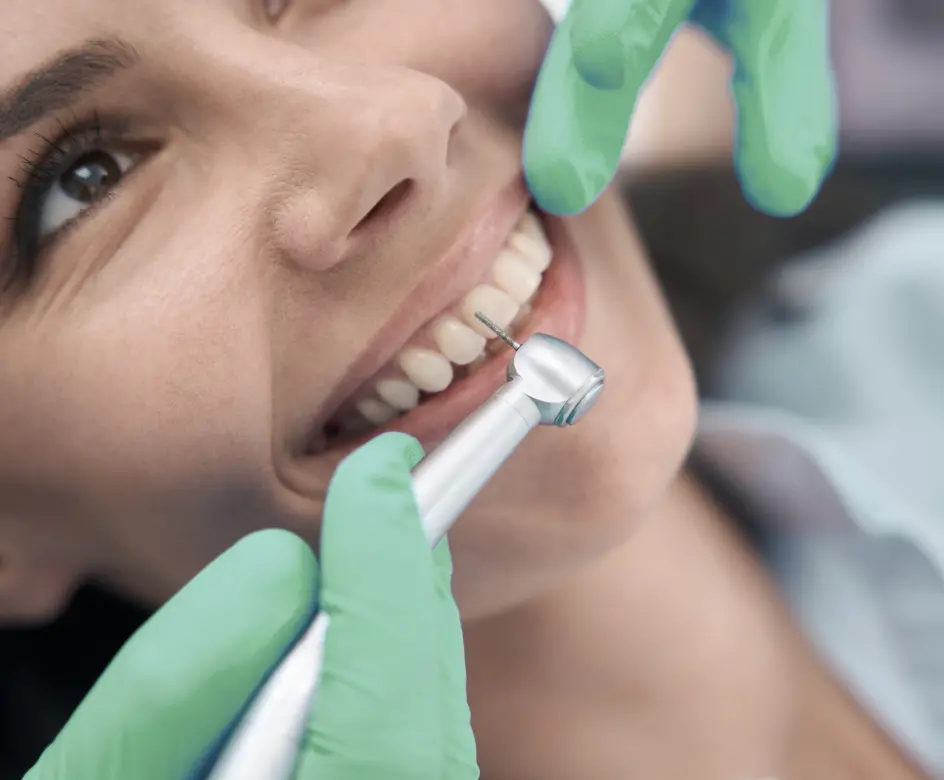 treatment image Accueil WP2 Template